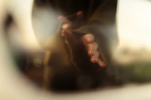 Cazino Royal Slots Cazinou Suport